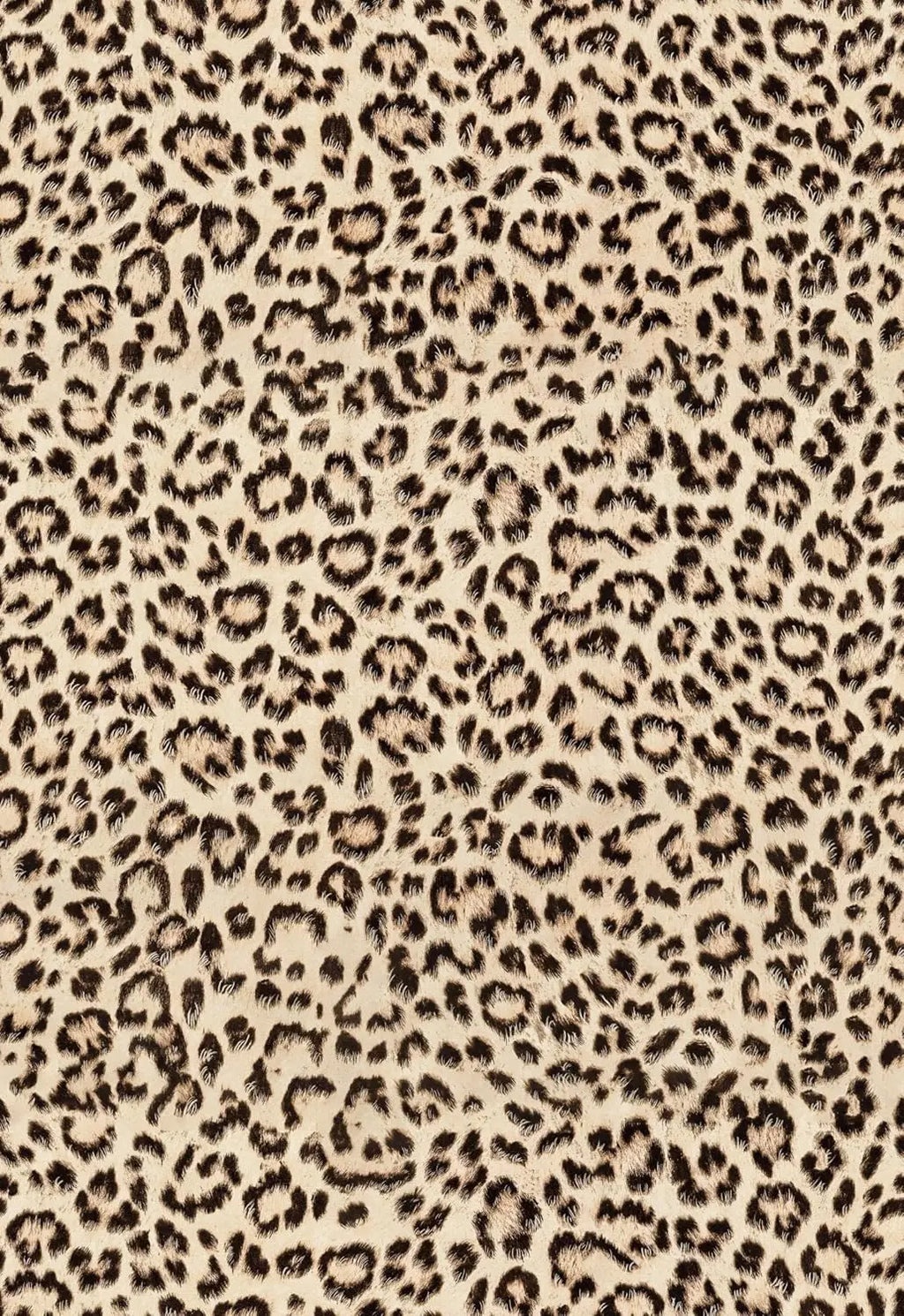 Cheetah Print Peel & Stick Wallpaper